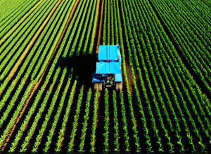 Aplicarea inteligenței artificiale în agricultură