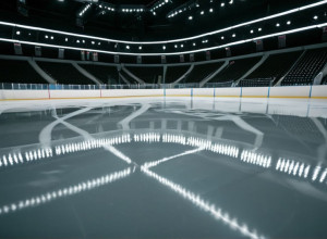 Maple Leafs pun capăt seriei de înfrângeri cu o victorie dramatică în prelungiri împotriva Blues