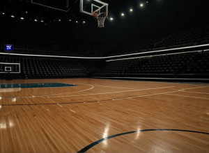 Victorie pentru Boston College: Eagles înving Hampton cu 63-52