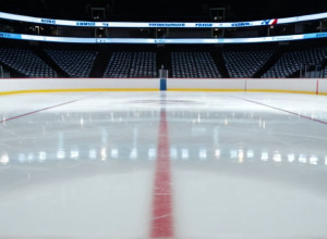 Predators vs. Red Wings: Previzualizarea Meciului NHL