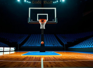 Meci de baschet în Cancun: Wolverines vs. Jackrabbits