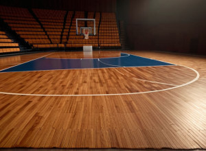 Duel de baschet în Florida: Jacksonville Dolphins înfruntă Pacific Tigers