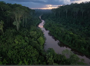 Bande criminale se extind în Amazonia braziliană: O amenințare pentru pădurea tropicală și securitate