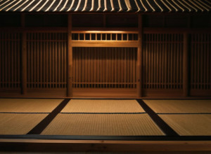 Luptătorul ucrainean de sumo Aonishiki se apropie de vârful sportului național al Japoniei