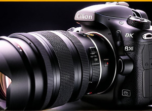 Bine ați venit în lumea inteligenței artificiale