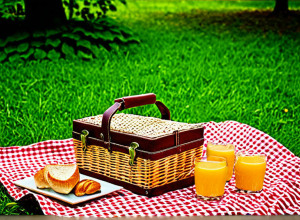 Cum să organizezi un picnic perfect