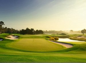 Ryan Fox preia conducerea la Australian PGA, Adam Scott la un singur pas