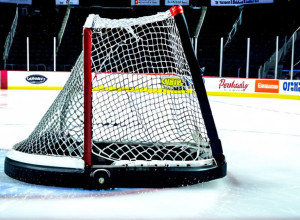 Nashville Predators rup seria de înfrângeri cu o victorie cu 6-3 împotriva Detroit Red Wings