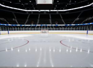 Kings și Ducks se duelează în Divizia Pacific