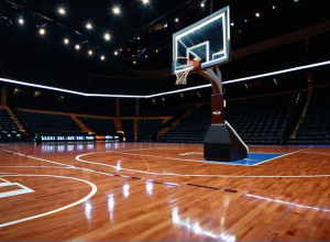 Cardinalii din Louisville, numărul 12, găzduiesc Ohio după performanța de 29 de puncte a lui Brown