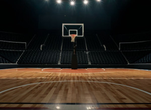 Previzualizare meci de baschet: Furman Paladins vs. Illinois State Redbirds