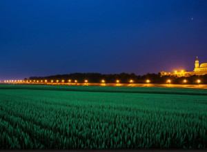 Istoria Ucrainei: de la Kievana Rus' la independența modernă