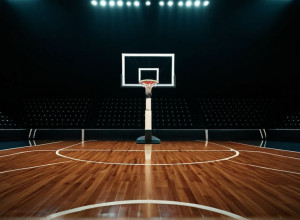 Memphis Grizzlies vs. Sacramento Kings: O Analiză Detaliată a Meciului NBA