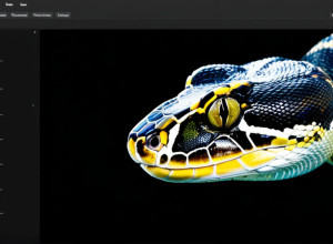 Ghid scurt despre Python