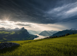 Elveția votează privind serviciul național obligatoriu pentru femei