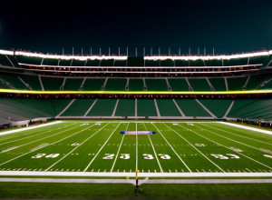 Cele mai spectaculoase fotografii din Săptămâna 13 a sezonului NFL