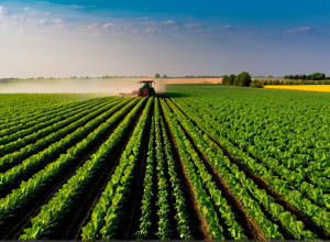 Tehnologii inovatoare în agricultură