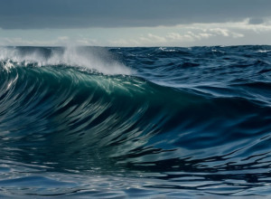 Festinul pescărușilor bruni: Un semn încurajator pentru păsările marine mari