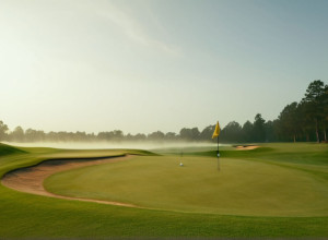 Europa preia conducerea la Skechers World Champions Cup de golf