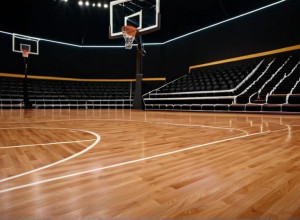 Baschet Colegial: Georgia Southern înfruntă Gardner-Webb după performanța stelară a lui Webb