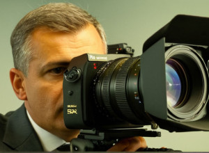 Căutare în articole