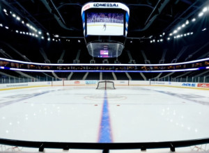 Capitals vizitează Ducks după performanța de două goluri a lui Ovechkin