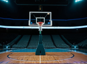 Bethune-Cookman Wildcats înfruntă South Carolina State Bulldogs într-un meci de baschet