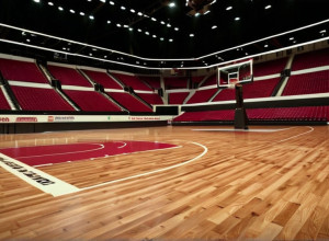 Confruntarea din baschet: Delaware Fightin' Blue Hens împotriva Colgate Raiders