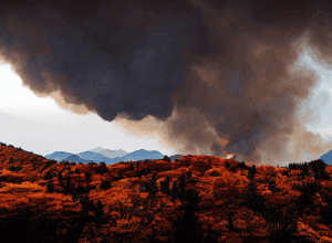Incendii în Coreea de Sud: Cel Puțin 18 Morți și Distrugeri Masive