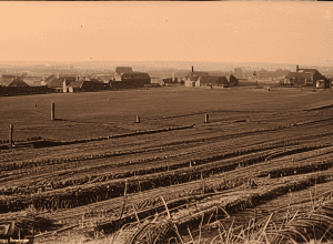 Cantigny: Memoria Aliatului SUA