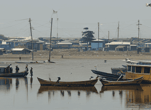 Acuzații de acaparare de terenuri în Nigeria