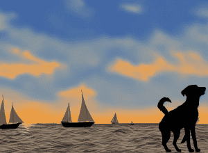 Robert S. Douglas, fondatorul Black Dog Apparel, a murit la 93 de ani