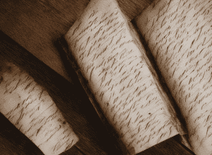 La 13 ani, Charlotte Brontë știa deja cât de bună scriitoare va fi