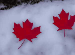 Pierre Poilievre pierde un loc în Parlamentul Canadei: Surpriză electorală la Ottawa