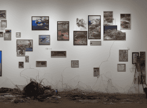 Expoziție în memoria victimelor violenței armate, desființată la sediul ATF