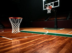 Minnesota a Învins Alcorn State cu 95-50 în Baschetul Colegial