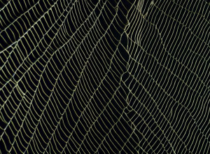 Criza Ajutorului Alimentar SNAP: Milioane de Americani Așteaptă Beneficii pe Fondul Blocajului Guvernamental