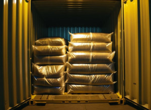 Nigeria colaborează cu SUA și Marea Britanie pentru a destructura un cartel de cocaină de 235 de milioane de dolari