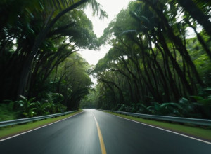 Tragedie în Bali: Cinci turiști chinezi au murit într-un accident de microbuz