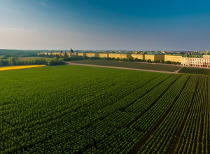 Istoria Ucrainei: de la Kievean Rus' la independența modernă