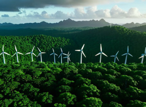 Summitul COP30: Brazilia solicită o tranziție accelerată către energiile regenerabile