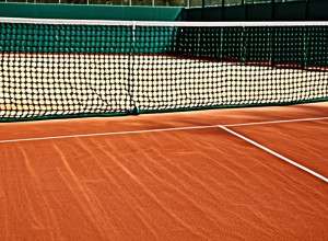 Italia se califică în semifinalele Cupei Davis după o victorie dominantă împotriva Austriei