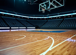 Baschet: „Bucknell Bison” împotriva „St. John’s Red Storm” nr. 14