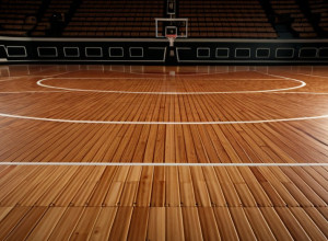 Baschet: Mocs din Chattanooga și Lions din Alabama de Nord se confruntă într-un meci non-conferențial