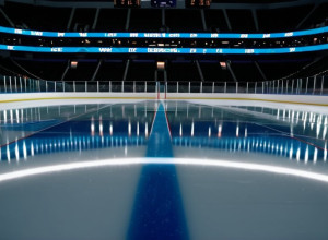 Senators și Sharks se duelează în California: Analiza Meciului de Hochei