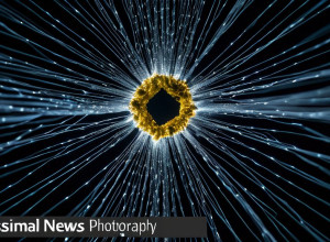 Rețele Neuronale: Revoluția în IA