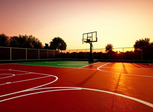 Meci de Baschet la Portland: Northern Colorado Bears înfruntă CSU Fullerton Titans