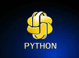 Bazele Python: Variabile și Tipuri de Date