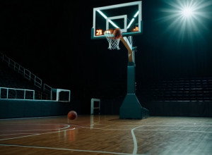 Confruntare de baschet: UAPB Golden Lions vs. UIC Flames