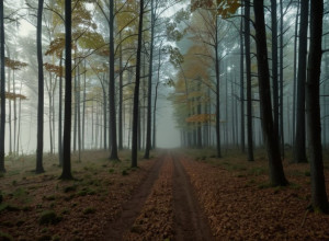 Crimă șocantă în Michigan: O mamă și soțul ei, acuzați de uciderea fiicei însărcinate